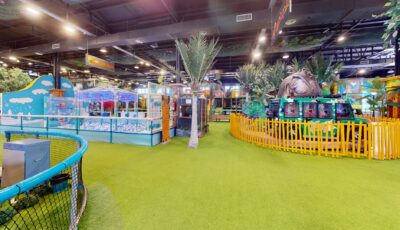 Jungle Land 3D Model